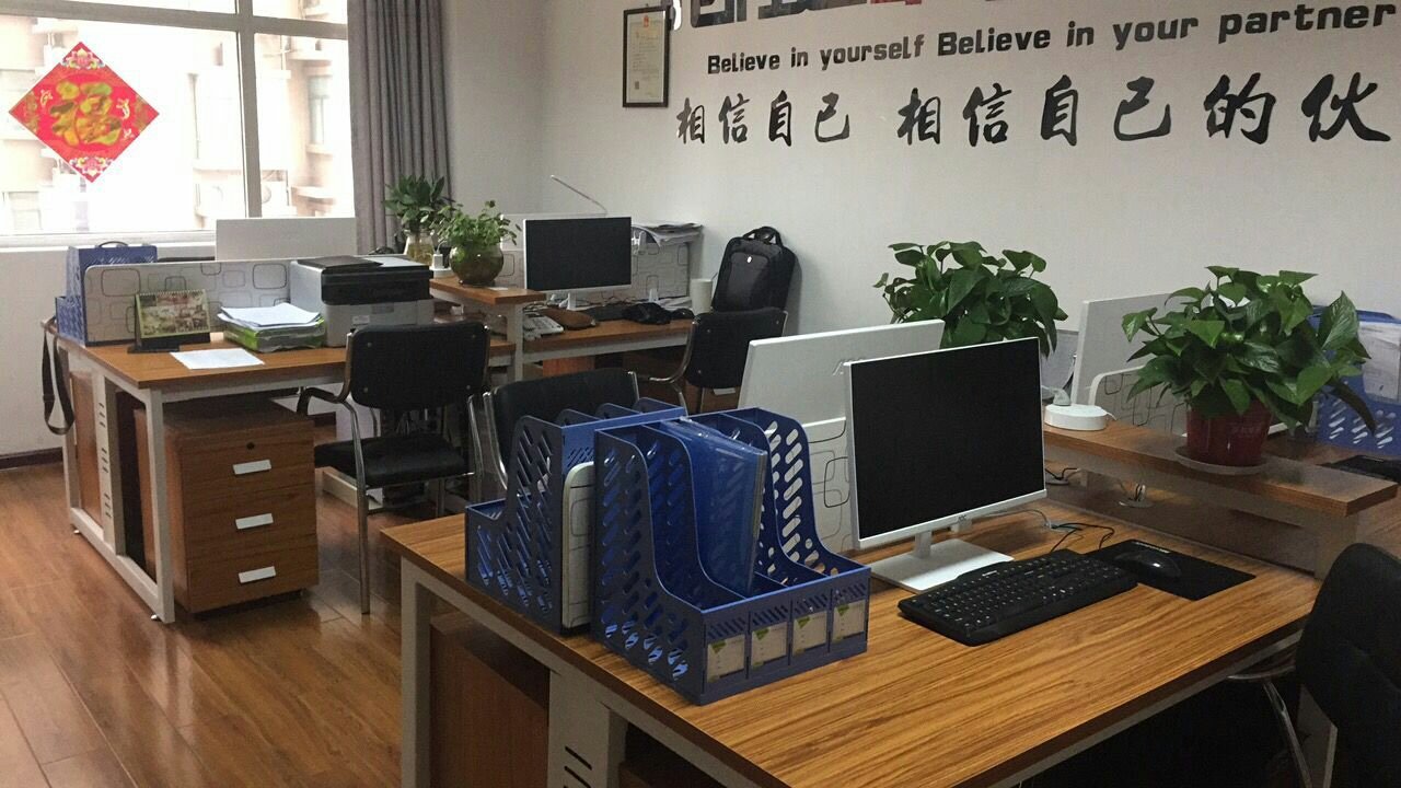 洛阳番茄网络科技 赋能数字未来的创新力量