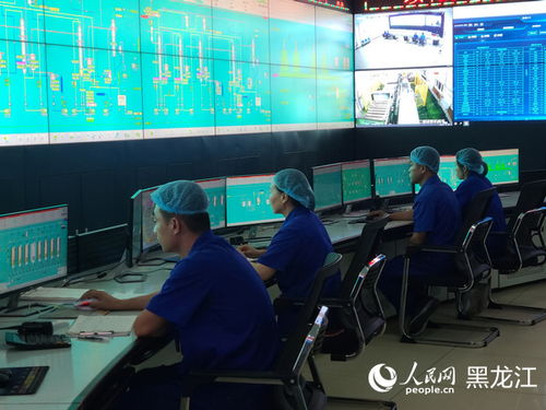 黑龙江农产品精深加工 链出高价值，网络公司赋能产业新篇